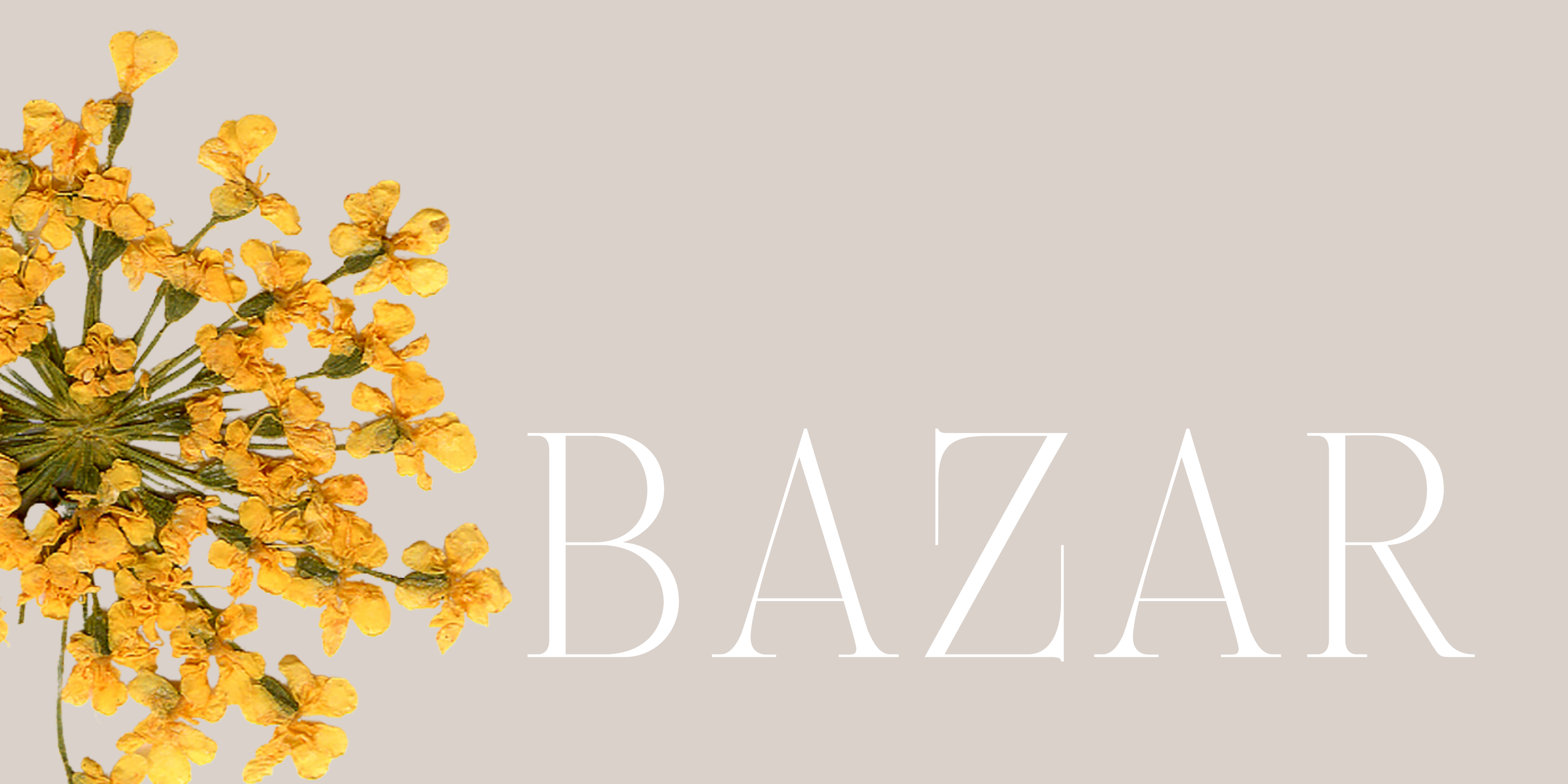 [ jul ] Bazar